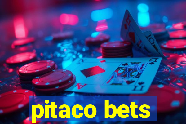 pitaco bets